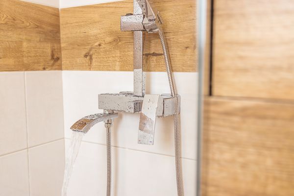 Cost of Shower Plumbing Installation in Deltona